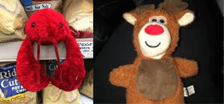 Does Trader Joe's Hide a Stuffed Animal